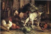 unknow artist, poultry  160